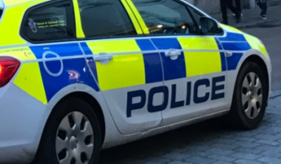 Police appeal after serious assault in Exeter The Exeter Daily